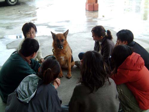 動物福利與犬隻教育 關懷生命協會